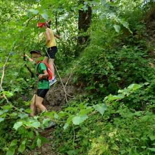 Slanění na trati 5 km