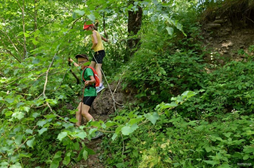 Slanění na trati 5 km