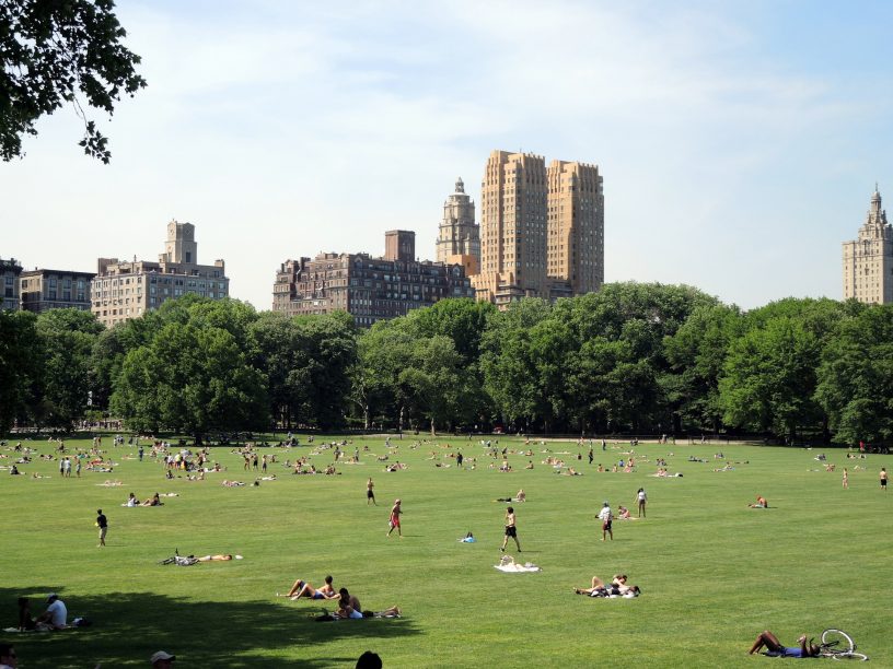 Central Park - Sheep Meadow o víkendu (foto: Petr Píša)