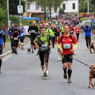 Dogtrekaři na trati loňského závodu