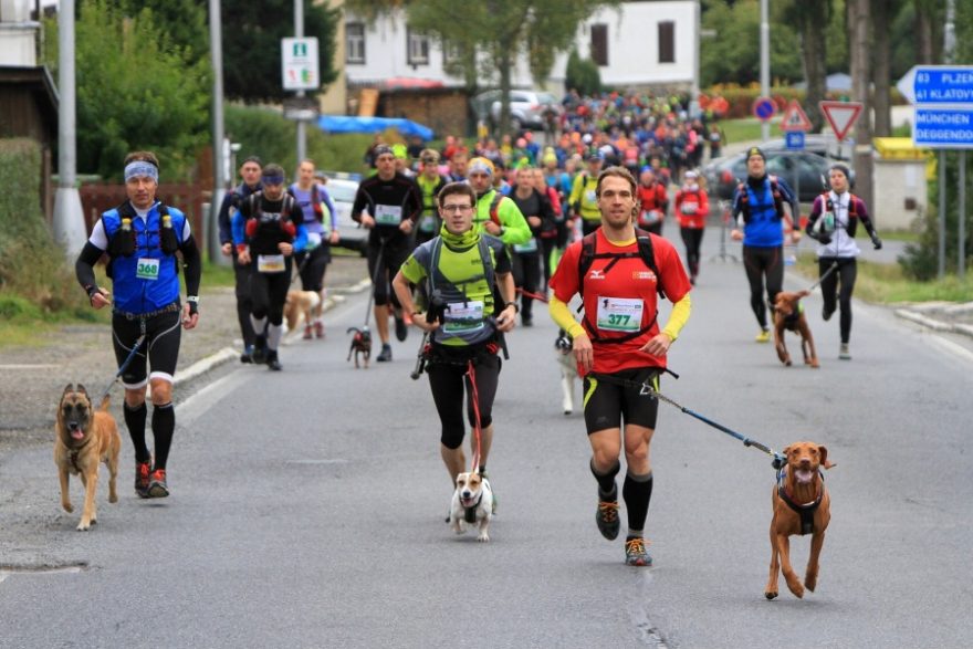 Dogtrekaři na trati loňského závodu