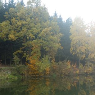 Krčmaňský rybník