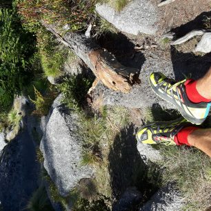 Šumavská hřebenovka je přesně to, kam se Salmingy Trail T2 hodí
