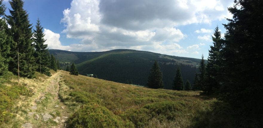 Z trati
