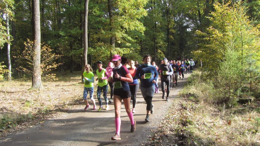 Do 10. km to vypadalo dobře