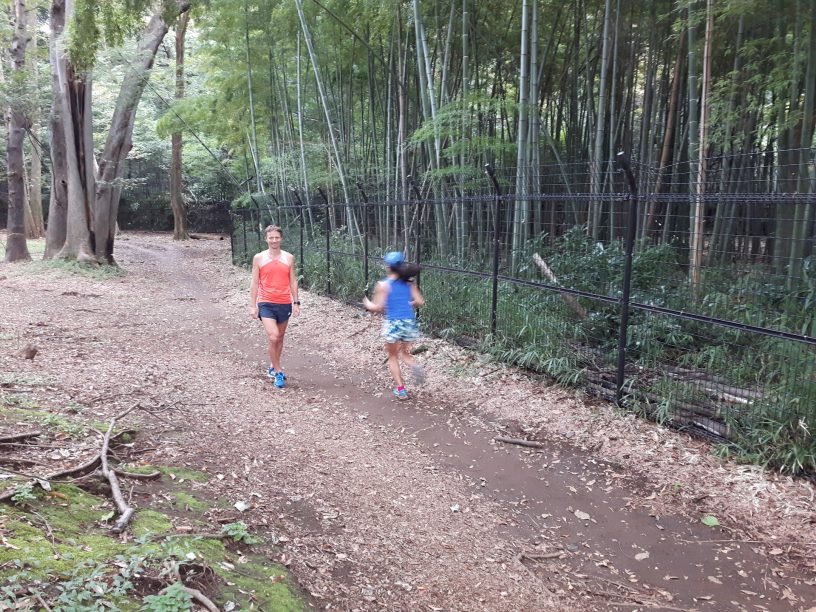 V parku Yoygi poběžíte kolem bambusového lesa
