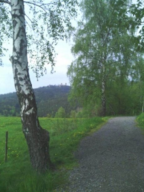 Pohled z trati na hrad