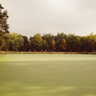 Okolo zeleného rybníčku
