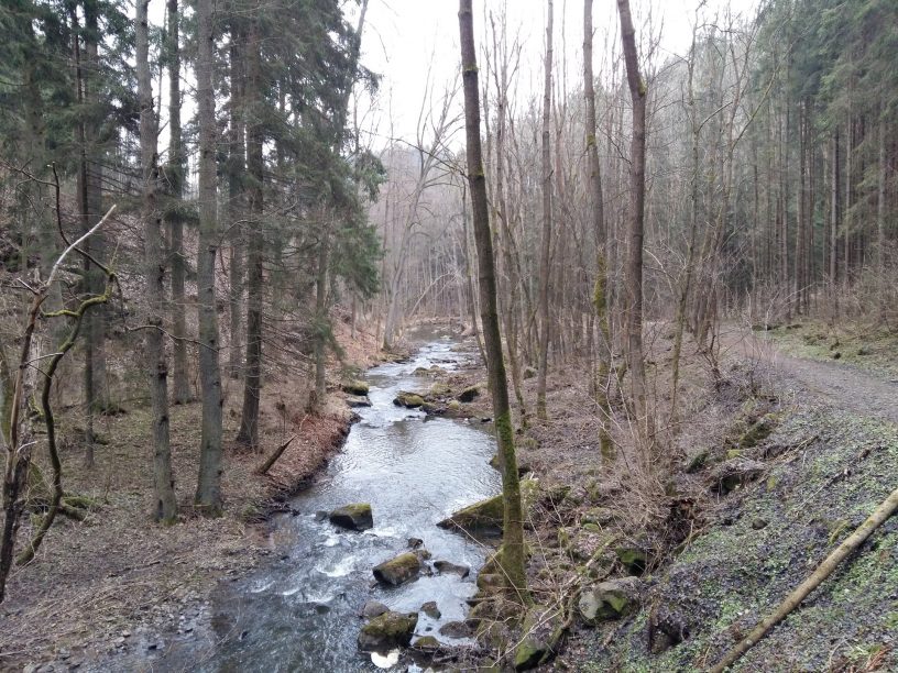 Říčka Brtnice