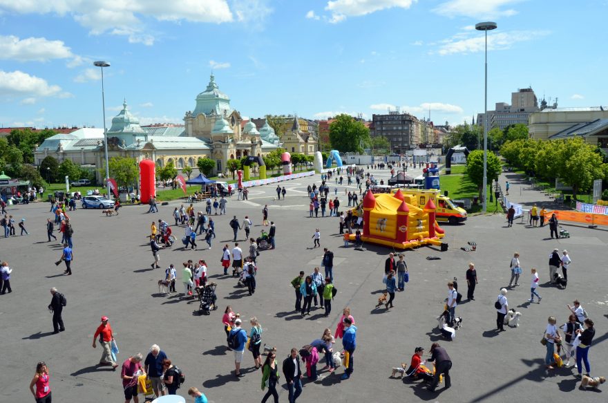 Součástí veletrhu bude také maratonské expo