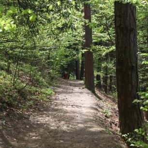 Trasa Trail Sázava