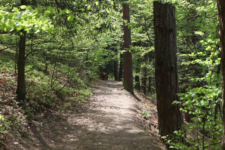 Trasa Trail Sázava