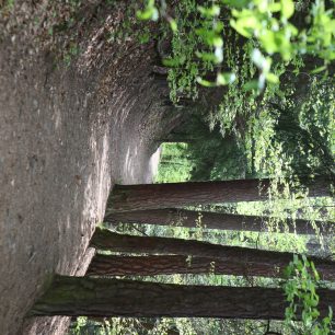 Trasa Trail Sázava