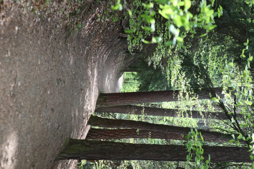Trasa Trail Sázava