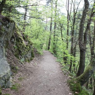 Trasa Trail Sázava
