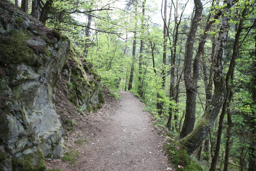 Trasa Trail Sázava