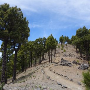 Ostrov La Palma nabízí krásné traily