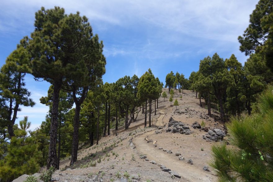 Ostrov La Palma nabízí krásné traily