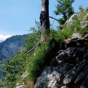 Trasa Ukanc - Črno jezero