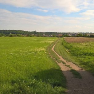 Výhled na letohrádek Hvězda na prvním kilometru