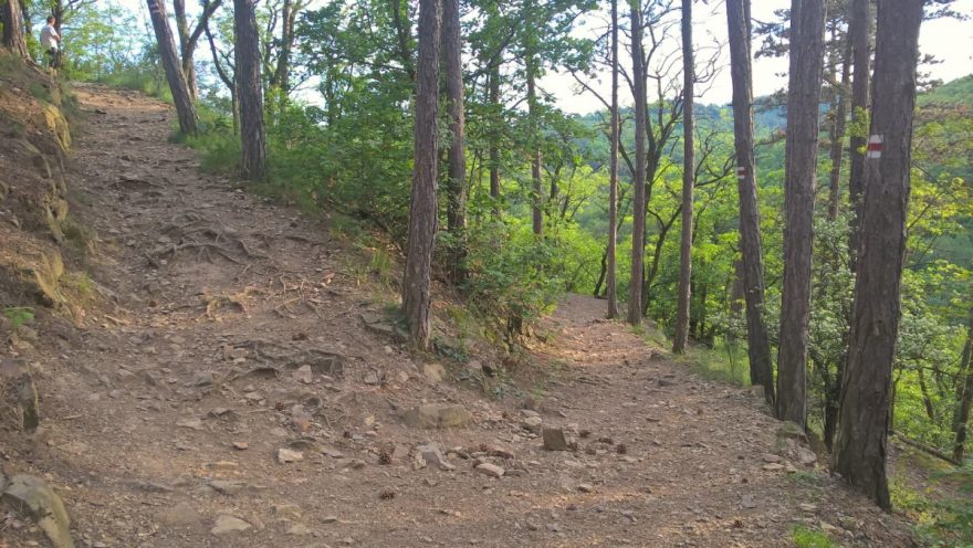 Jeden a půl kilometru pravého pražského trailu