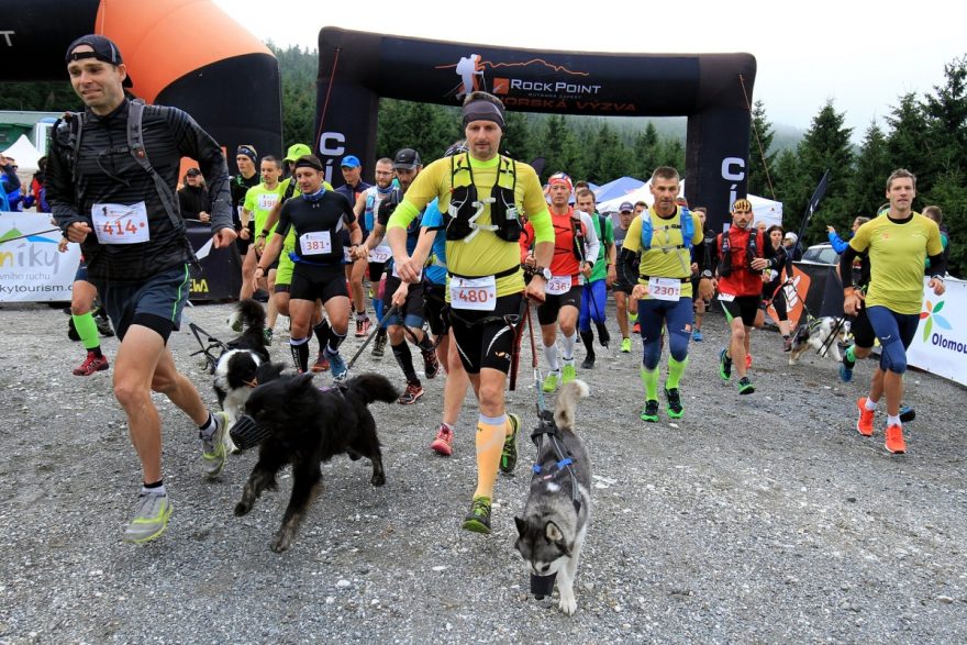 Start kategorie Half