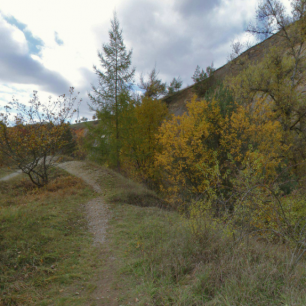 Podzimní krajina Prokopského údolí