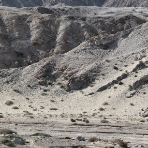 V závodě Ultra Trail Gobi na vlastní pěst