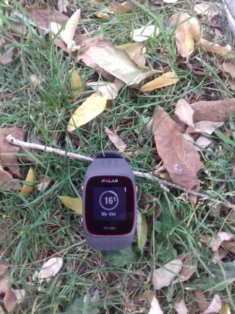 Ukazatel denní aktivity Polar M430