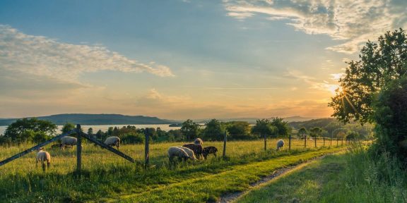 NĚMECKO: Proběhněte se po pláži Bodensee