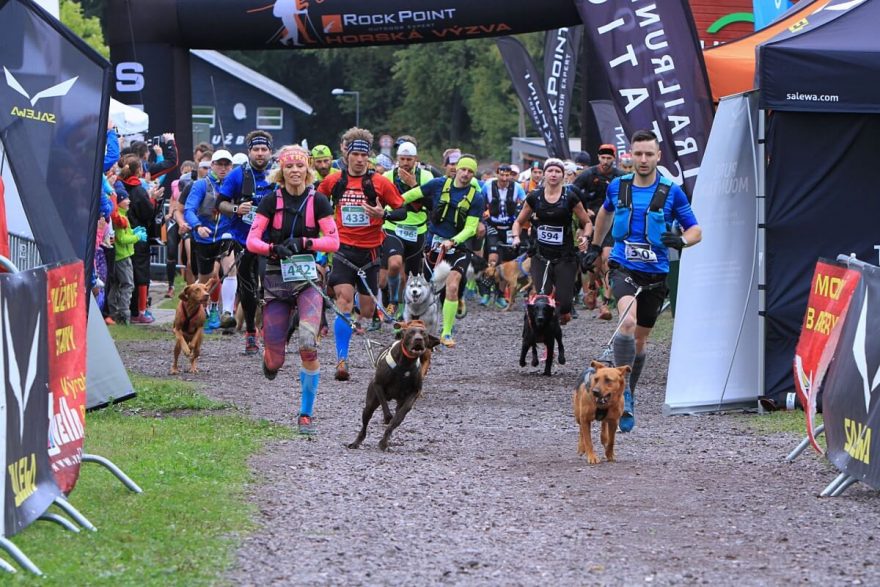 start kategorie Half