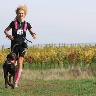 Trasa vede kolem vinice