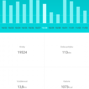 Statistiky kroků