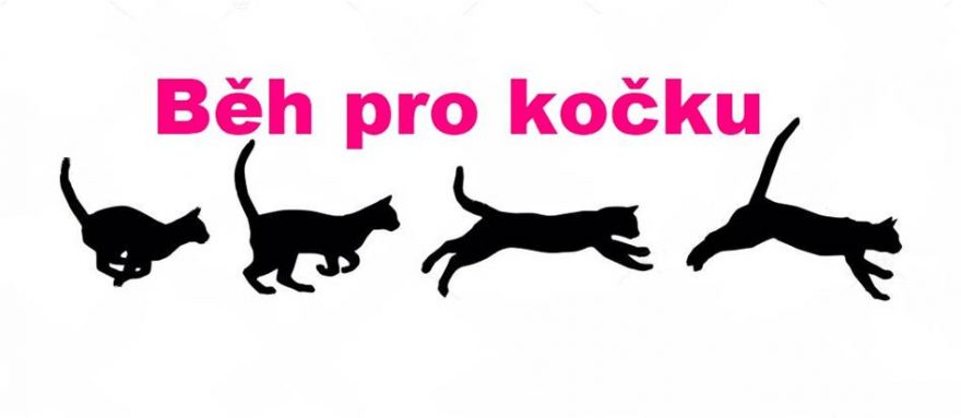 Logo závodu