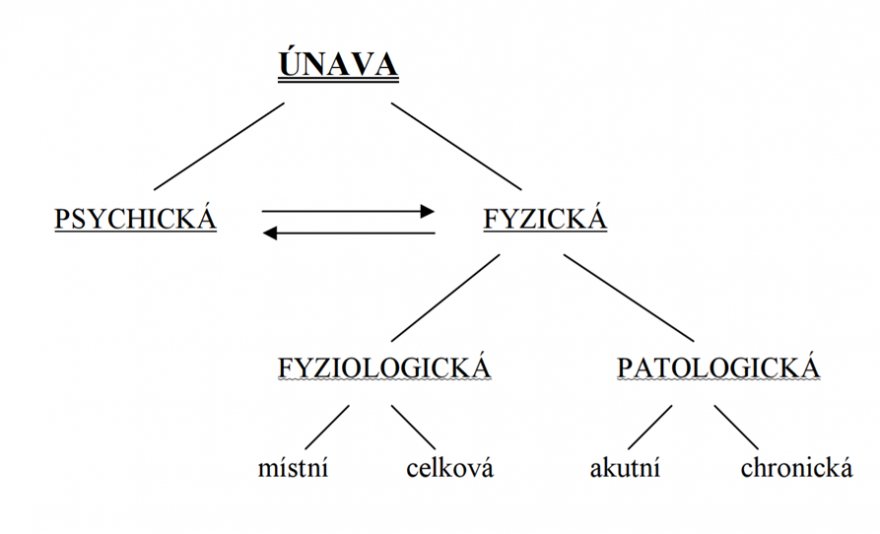 Schéma únavy