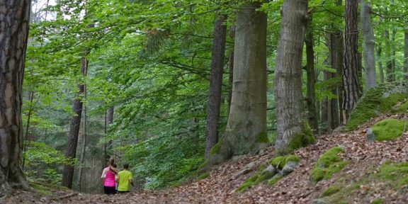 Inov-8 Kros Bučiny 11 km