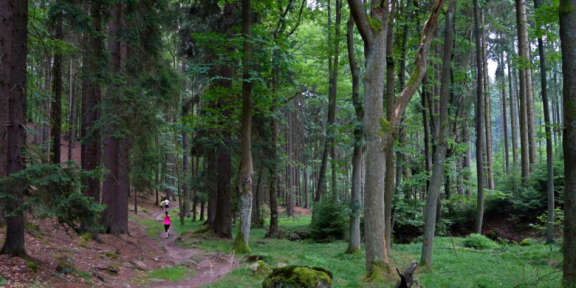 Inov-8 Kros Bučiny 15 km