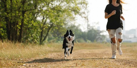 Jak na běhání se psem pro začátečníky