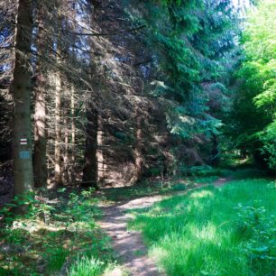 Magurský národný park.