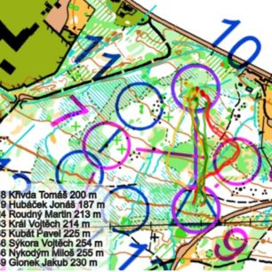 Stavitel tratí označil bažinatou část trati mezi 7. a 11. kontrolou jako tu nejtěžší, ovšem nejlepší muži si s ní poradili velmi dobře. Výjimkou byla kontrola číslo 10, kde bylo nejrychlejší běžet rovně přes hustník. Zleva běžel Pavel Kubát, který ztratil 17 vteřin, zprava dvojice Nykodým – Sýkora, která nabrala dokonce 28 vteřin ztráty.