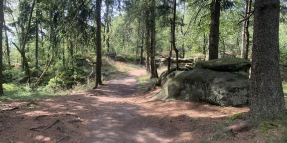 Běžecká trasa česko-německým pohraničím v okolí hradu Oybin