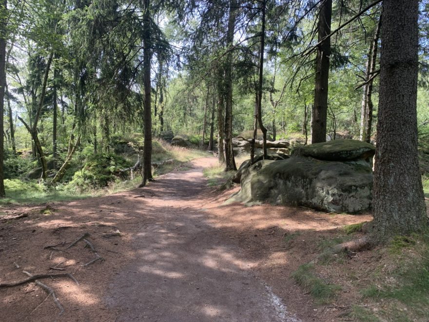 Krásná trailová cesta, okolo skály. Co si více přát?