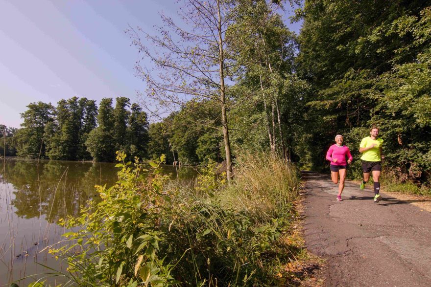 Trasy Třeboňského půl/maratonu jsou téměř kompletně obklopeny lesy, loukami a rybníky CHKO Třeboňsko
