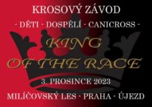 KING of the RACE