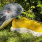 Recenze: Salomon Pulsar – povedená univerzálka na trénink i závod