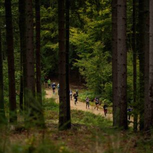 Blíží se Mattoni Liberec Trail Run - jediný závod seriálu RunCzech, který se běží převážně mimo asfalt